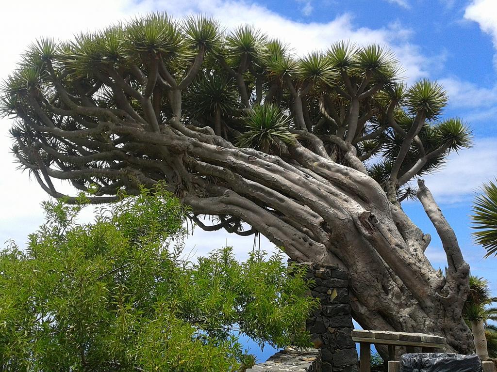 La Palmerita Vacacional Los Llanos De Aridane Dış mekan fotoğraf