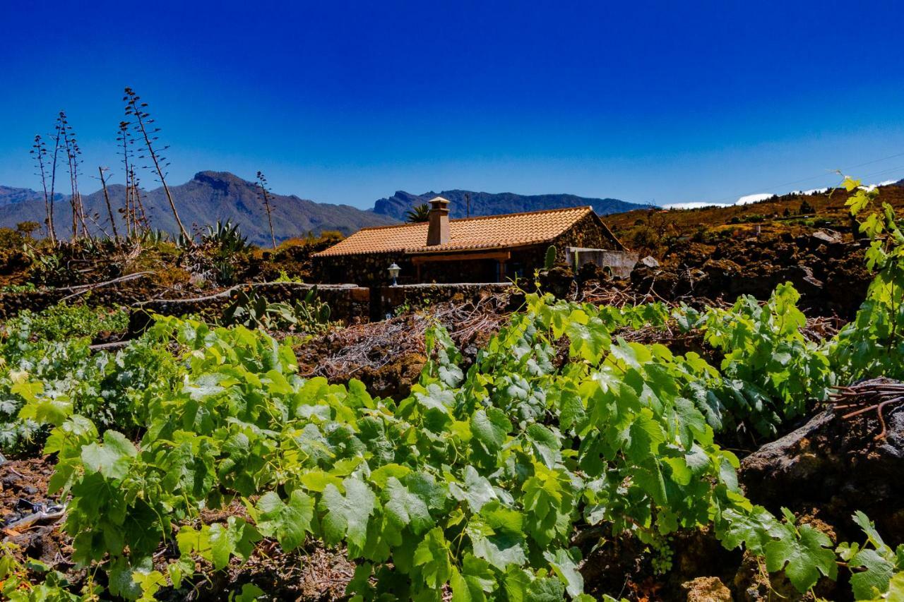 La Palmerita Vacacional Los Llanos De Aridane Dış mekan fotoğraf